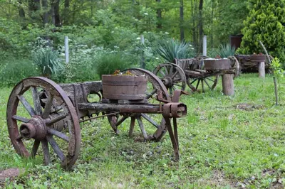 a group of old carts sitting in the grass at Sljivik in Niš