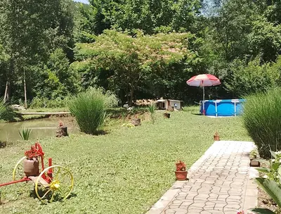 a garden with an umbrella and a bike in the grass at Sljivik in Niš
