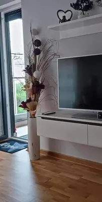 a vase with flowers in a living room with a television at Apartman MAJA in Vrnjačka Banja