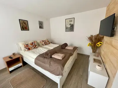 a bedroom with a bed and a tv on the wall at Apartmani Stanković Sokobanja in Soko Banja