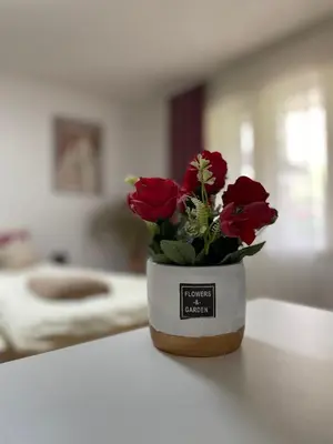 a vase filled with red roses sitting on a table at Apartmani Stanković Sokobanja in Soko Banja