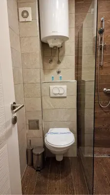 a small bathroom with a toilet and a shower at Kopaonik Bliss in Kopaonik