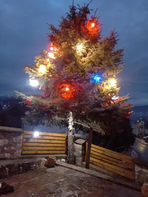 a christmas tree with lights on top of a fence at APARTMANSKI SMEŠTAJ SOLARIS kod Aqua Parka SUPERIOR & FAMILY Apartments in Soko Banja