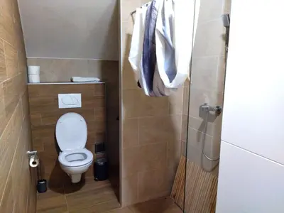 a small bathroom with a toilet and a shower at Milmari-Kopaonik in Kopaonik