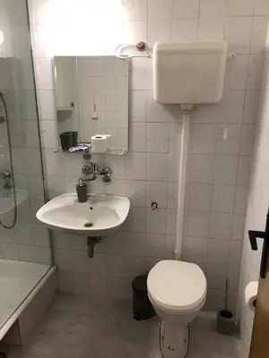 a bathroom with a toilet and a sink at Ski sun and fun kopaonik apartmani in Brzeće