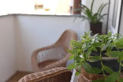 a room with two chairs and potted plants at Stan Na Dan Central Park in Raška