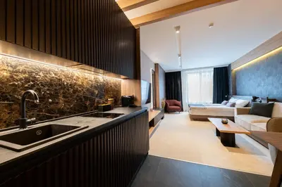 a kitchen with a sink and a living room at Woodside Apartment 218 in Kopaonik