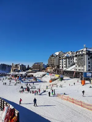 a group of people skiing on a snow covered slope at Woodside Apartment 218 in Kopaonik
