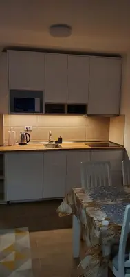 a kitchen with a table and a sink and a counter at BelinaKop - Kopaonik Centar in Kopaonik