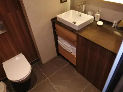 a bathroom with a white toilet and a sink at Woodside apartments Kopaonik with garage in Kopaonik