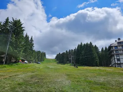 a person flying a kite in a field with a dog at Woodside apartments Kopaonik with garage in Kopaonik
