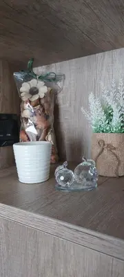 a shelf with a bowl of shells and a plant at Mountain angel in Kopaonik