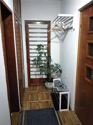 a hallway with a door and a potted plant at Fina Apartman in Leskovac
