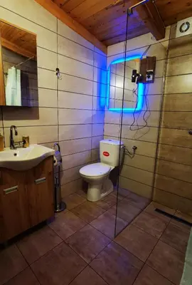 a bathroom with a toilet and a shower and a sink at Odmaraliste Kod Miće Apartman 3 in Krušar