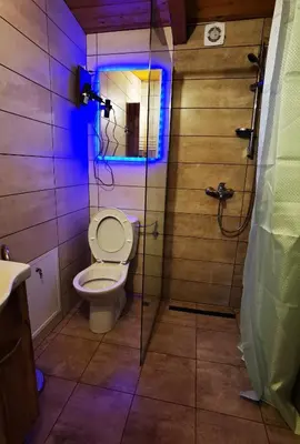 a bathroom with a toilet and a blue light at Odmaraliste Kod Miće Apartman 3 in Krušar