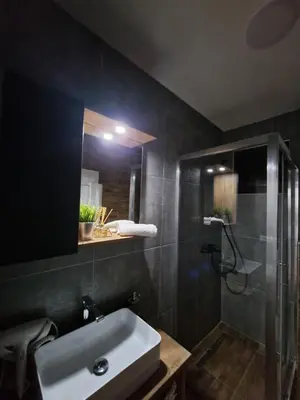 a bathroom with a sink and a shower and a mirror at Garnet Star Apartments 1 in Kopaonik