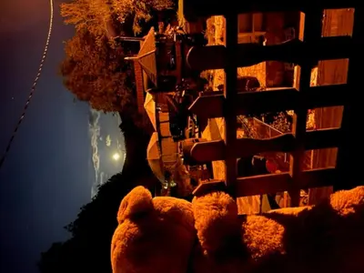 a couple of teddy bears sitting next to a building at Vila Milica Poganovo in Poganovo