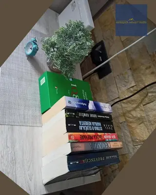 a stack of books sitting on a table with a plant at Vorkapich Milmari Studio in Kopaonik