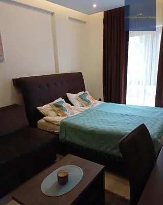 a living room with a bed and a couch at Vorkapich Milmari Studio in Kopaonik