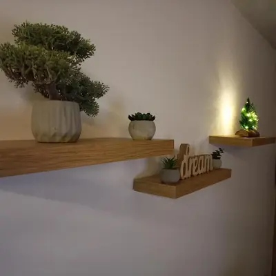a room with wooden shelves with plants and a christmas tree at Garnet Star Apartments, Kopaonik, apartman br 2 in Kopaonik