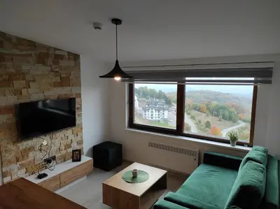a living room with a green couch and a large window at Apartman N98 Milmari Kopaonik in Kopaonik