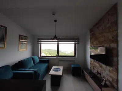 a living room with a couch and a fireplace at Apartman N99 Milmari Kopaonik in Kopaonik