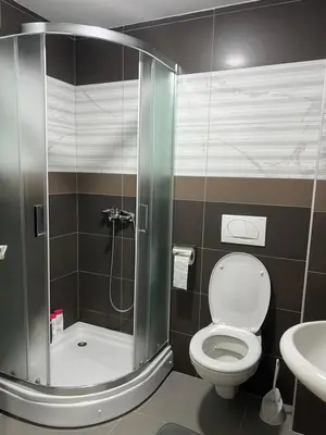 a bathroom with a shower with a toilet and a sink at Apartman Natura in Vrnjačka Banja