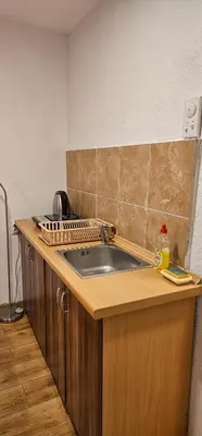 a kitchen with a sink and a counter at Stefanović - Studio 1 in Inovo