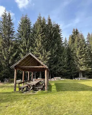 a wooden picnic shelter in a field with trees at Apartman Kopaonik Woodside 106 in Kopaonik