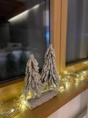 two small christmas trees sitting on a window sill at Apartman Kopaonik Woodside 106 in Kopaonik