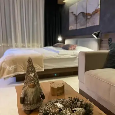 Apartman Kopaonik Woodside 106