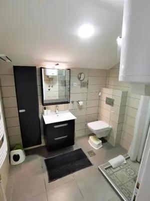 a bathroom with a sink and a toilet at Kod Dede Brzece in Brzeće