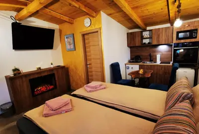 a living room with a couch and a fireplace at Odmaraliste Kod Miće Apartman 4 in Krušar