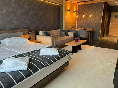 a bedroom with a bed and a living room at Woodside Kopaonik 416 in Kopaonik