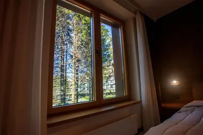 a bedroom with a window with a view of trees at Woodside Kopaonik in Kopaonik