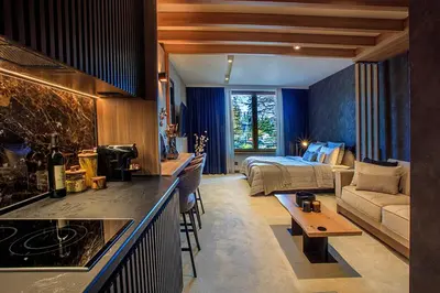 a hotel room with a bed and a living room at Woodside Kopaonik in Kopaonik