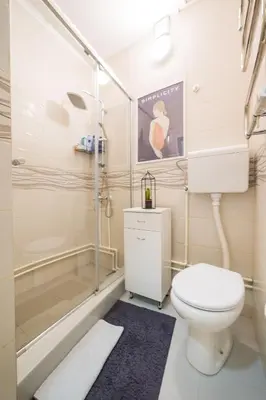 a bathroom with a toilet and a shower at Petra Guest House in Pirot