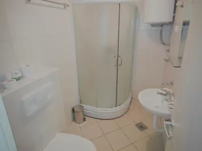 a bathroom with a shower and a toilet and a sink at Apartman Snezanka Kopaonik in Kopaonik