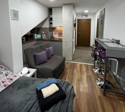 Gallery image of Apartman Kruna President Kop in Kopaonik