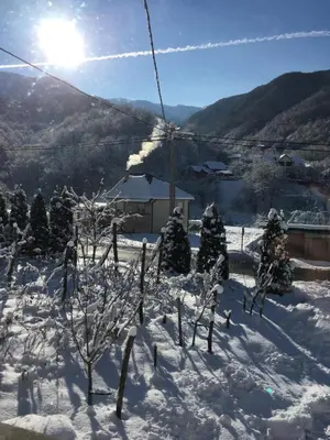 a snow covered hill with trees and a ski lift at Udahni prirodu in Raška