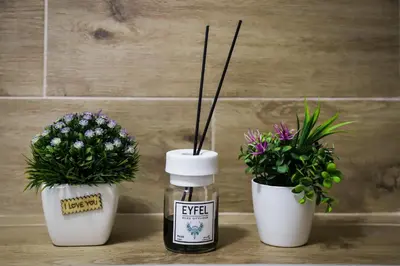 two potted plants sitting next to a bottle of essential oils at Apartman Marić Raj in Vrnjačka Banja