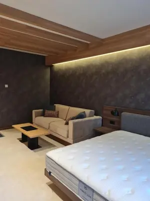 a living room with a bed and a couch at Kopaonik Woodside in Kopaonik
