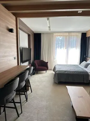 a hotel room with a bedroom with a bed and a television at WOODSIDE Apartment M Kopaonik FREE Parking in Kopaonik