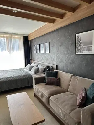 a living room with a couch and a bed at WOODSIDE Apartment M Kopaonik FREE Parking in Kopaonik