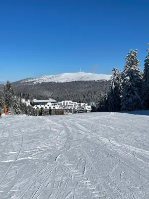 a snow covered slope with ski tracks in the snow at Woodside Apartment 431, Kopaonik - One separate bedroom 35m2- FREE Parking & SPA in Kopaonik