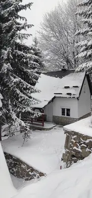 a house covered in snow with trees in front of it at Sova Kopaonik in Kopaonik