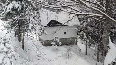a snow covered house in a yard with trees at Sova Kopaonik in Kopaonik
