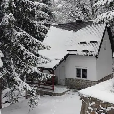 Sova Kopaonik