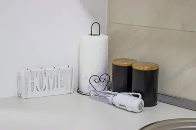 a counter with a roll of toilet paper and two trash cans at Town Space Apartment Niš in Niš