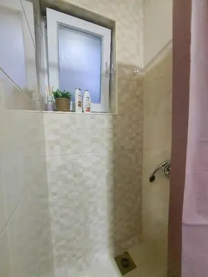 a bathroom with a shower with a window at Town Space Apartment Niš in Niš